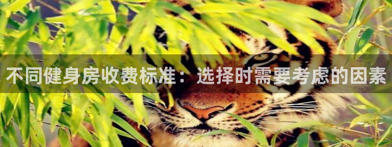 意昂4代理