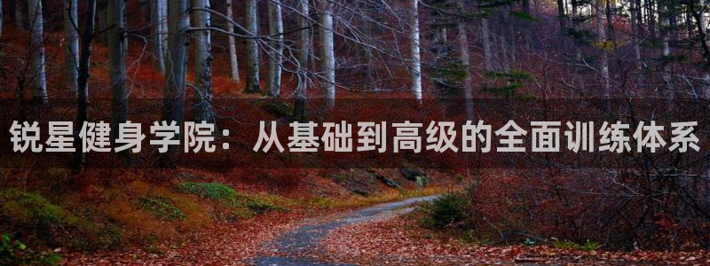 意昂4官方网站