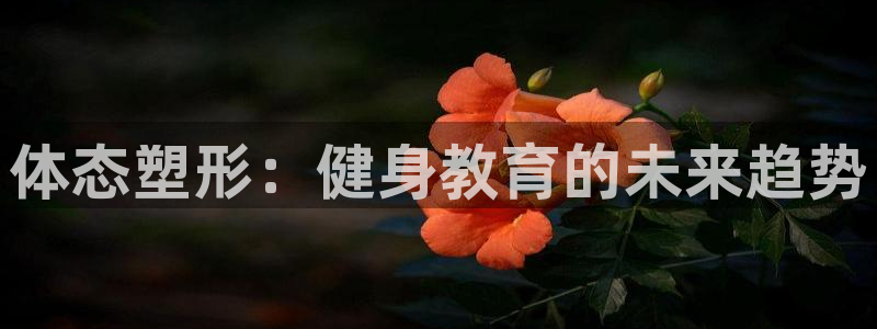 意昂4招商