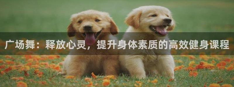 意昂4代理