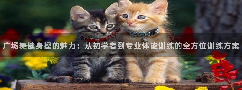 意昂4官方平台