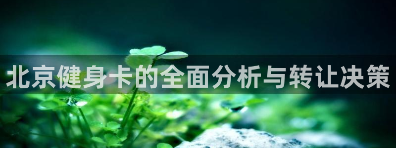 意昂4官方网站