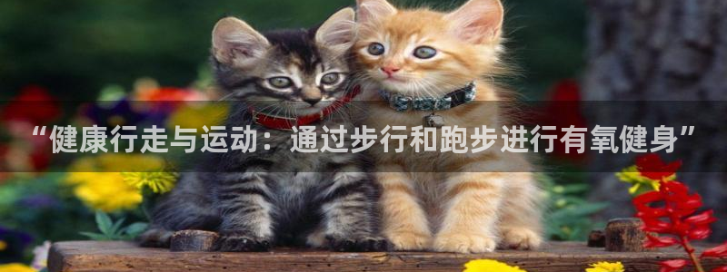 意昂4招商