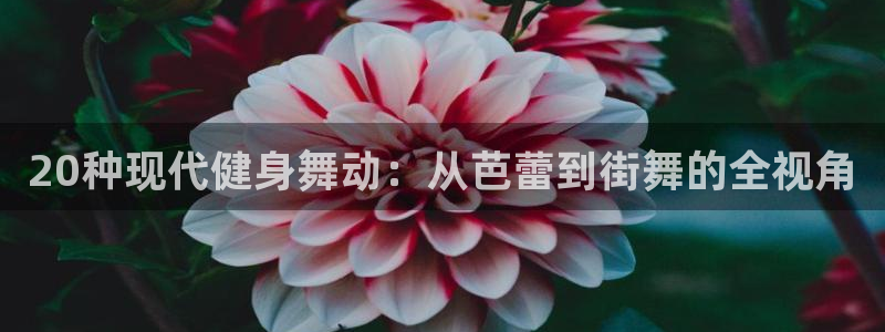 意昂4平台