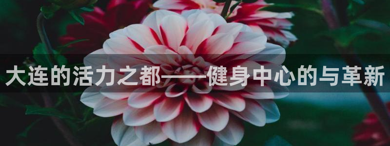 意昂4招商