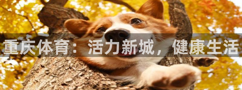 意昂4注册