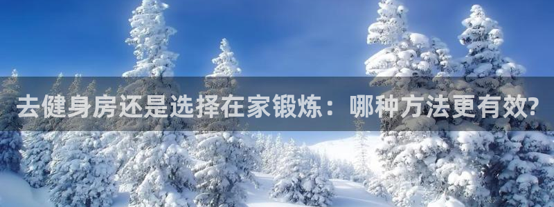 意昂4代理