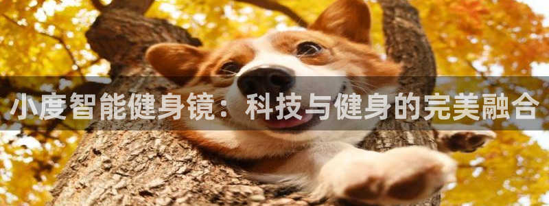 意昂4登录